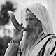 shofar5