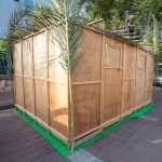 Perspektiven zu Sukkot, dem Laubhüttenfest 5783