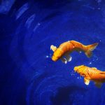 Perspektiven zum Monat Adar  – Das Masal (Sternzeichen) des Monats Adar