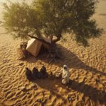 Awraham stellt wenig Wasser bereit, jedoch viel Brot und Fleisch. Weshalb? (Paraschat Wajera 5786)